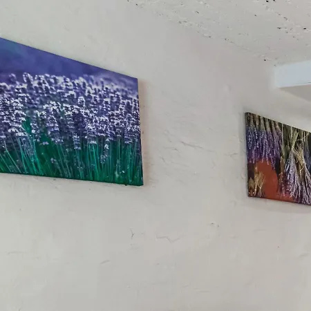 Cosy In Near Forest *