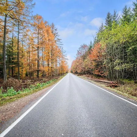 Cosy In Near Forest Feriehus